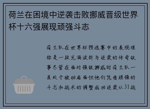 荷兰在困境中逆袭击败挪威晋级世界杯十六强展现顽强斗志