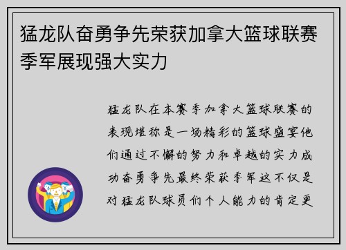 猛龙队奋勇争先荣获加拿大篮球联赛季军展现强大实力